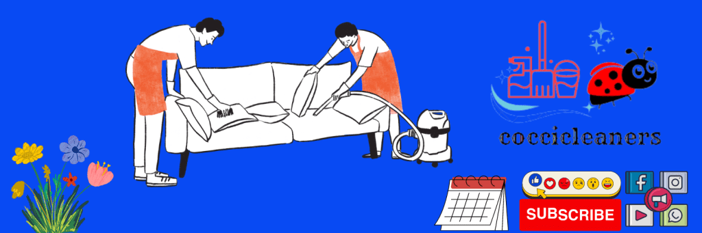 coccicleaners.com